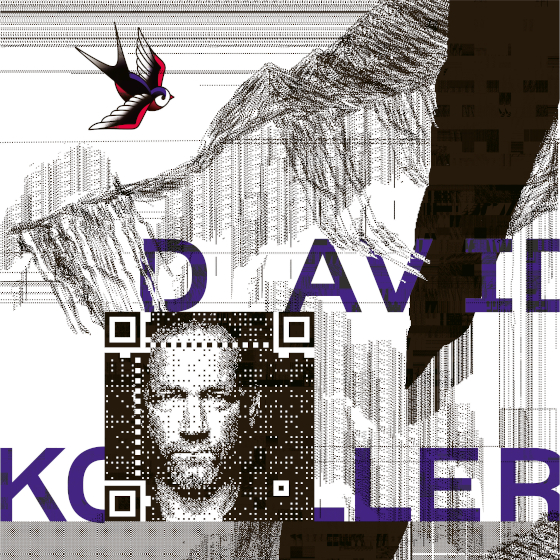 David Koller