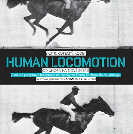 Human Locomotion
