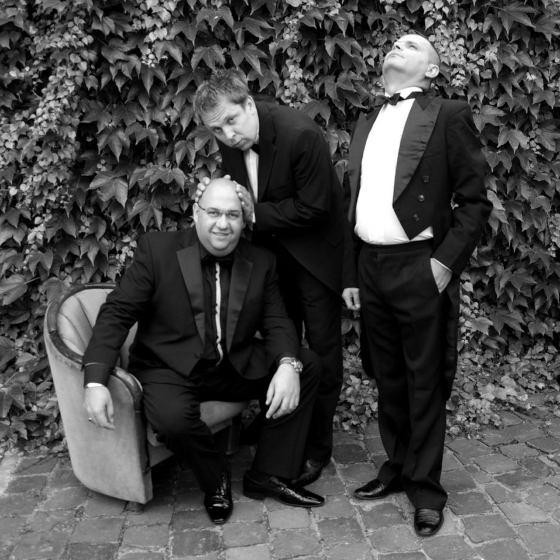Otto Hejnic Trio - Beauties<br>O. Hejnic & O. Krajňák & J. Fečo<br>Koncert PETROF