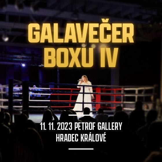 Galavečer boxu IV<br>MBC Iternational