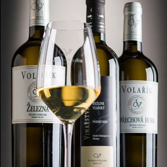 Představení vín<br>Vinařství Volařík