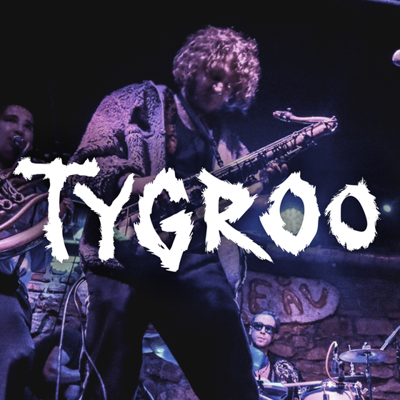 Tygroo