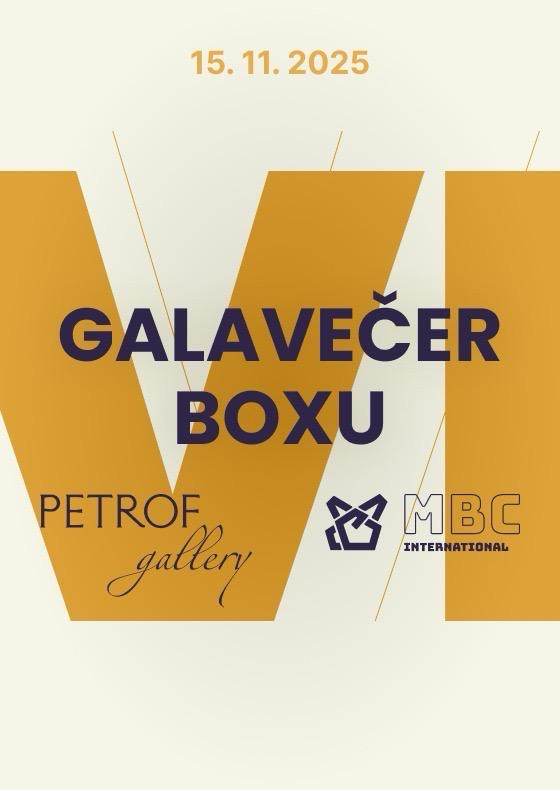 Galavečer boxu VI
