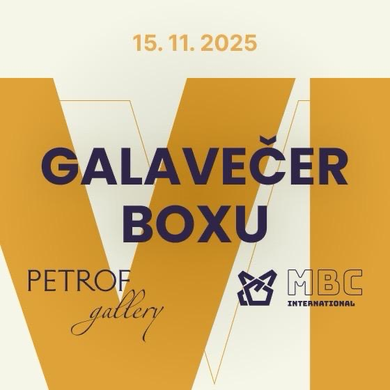 Galavečer boxu VI