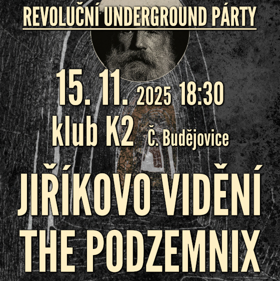 Revoluční underground party