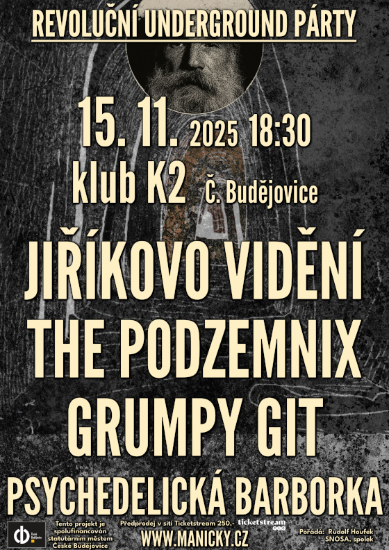 Revoluční underground party