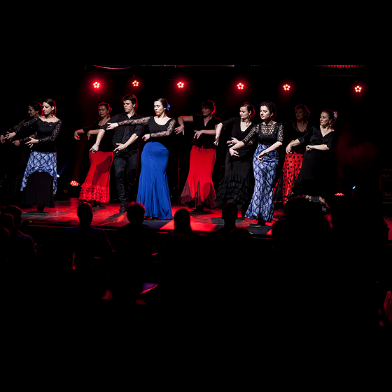 Den Flamenka<BR>Día del flamenco<br>Taneční soubor Virginie Delgado: Aire / Vánek (ESP, CZ, SK)