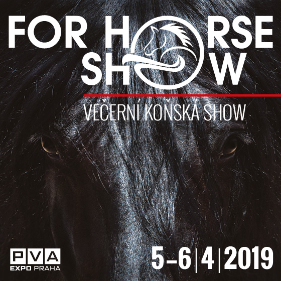 For Horse Show<BR>Večerní koňská show