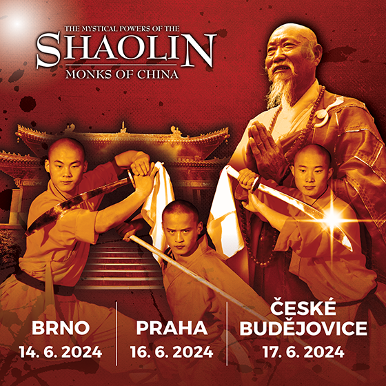 Shaolin<BR>Kung Fu